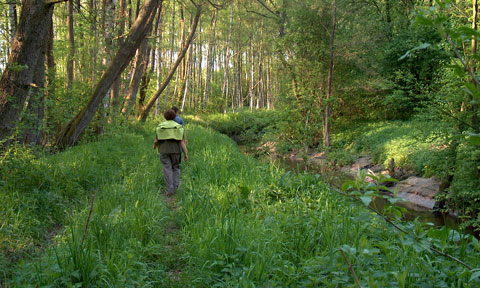 Assets & Skills Personal/Life Coaching