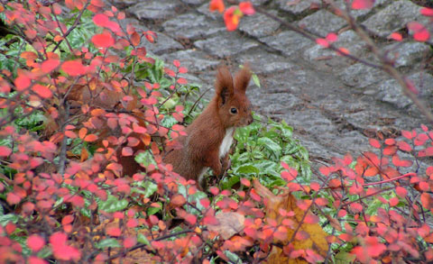 Assets & Skills Business Workshops - Effective individual