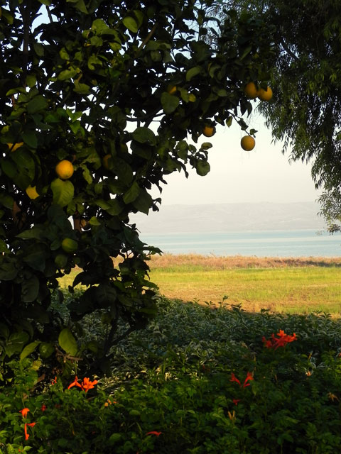 Assets & Skills Coaching - coaching w organizacji