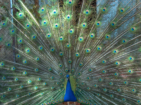 Assets & Skills Szkolenia Warsztaty biznesowe - profesjonalna siła